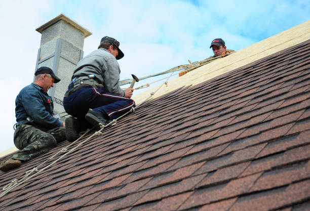 Best Roof Maintenance Services  in North Crossett, AR